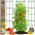 K-Brands Tomato Cage - Tomatoes Plant Stakes Support Cages Trellis for Garden and Pots (3 Pack - Extra Tall Upto 68 inches)
