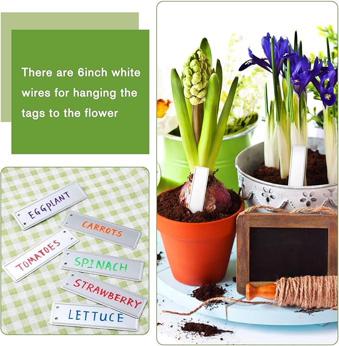 Hotop 300 Pieces Metal Plant Tags with Wires 1 x 3.25 Inches Double Sided Blank Metal Plant Labels Waterproof Aluminum Label Tag for Indoor Outdoor Gardening Nursery Supplies