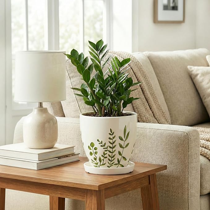 MPotTo 6 Inch Plant Pot - Ceramic Pots for Plants with Drainage Hole and Saucer, Ceramic Succulent Pots for Indoor Outdoor, Decorative Boho Planter, Housewarming Gifts, Garden Room Home Decor, White