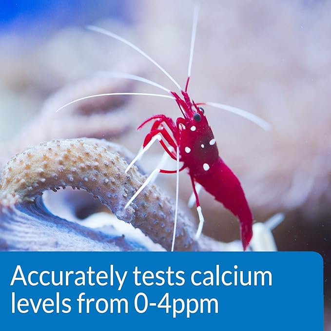 API CALCIUM TEST KIT Saltwater Aquarium Water 1-Count Test Kit