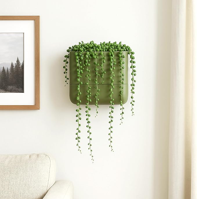 Phoenix Vine 6.5 Inch Wall Mounted Self-Watering Planter Pot for Indoor Houseplants and Herbs | Hanging Planter for Window Sills, Bathroom Walls, Home & Office Décor, Olive, Set of 1, 01-C-F-1