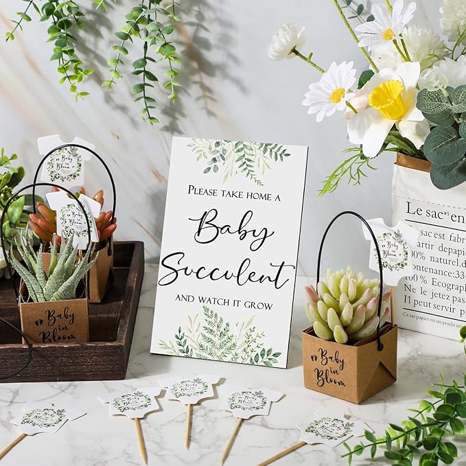 Geetery 101 Pcs Succulent Baby Shower Party Favors for Guests Include 1 Wooden Table Sign 50 Kraft Succulent Pots and 50 Tags for Baby Shower Party Gifts(Greenery)