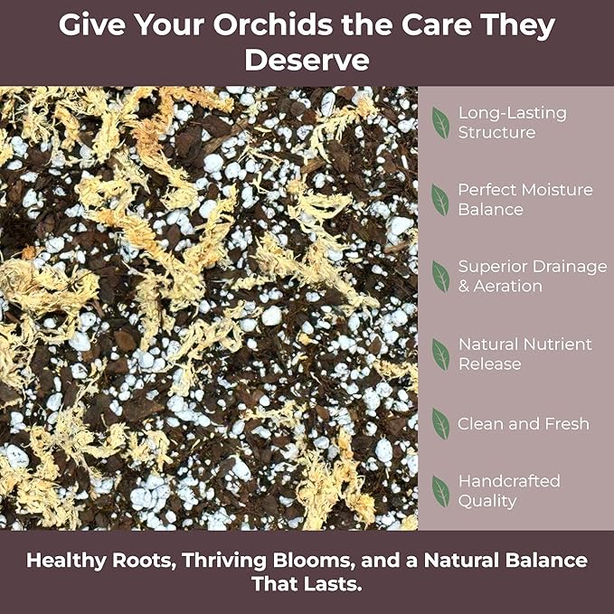 GARDENWISE Orchid Potting Mix – Orchid Bark, Sphagnum Moss, Tree Fern & Perlite for Repotting Phalaenopsis Orchids, Indoor Plants, Orchid Soil Medium – Sustrato para Orquídeas (1 Quart)