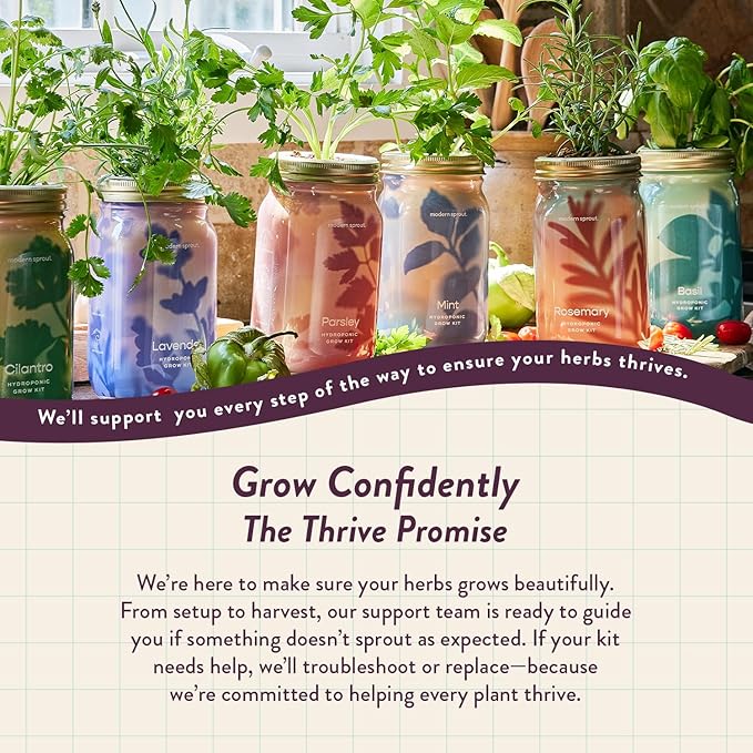Modern Sprout Mason Garden Jar - Self-Watering Hydroponics Growing System Kit with Organic Herb Seeds - Jar Planter for Indoor Herb Garden - Seed Starter Kit - Home Decor & Gifting - Parsley