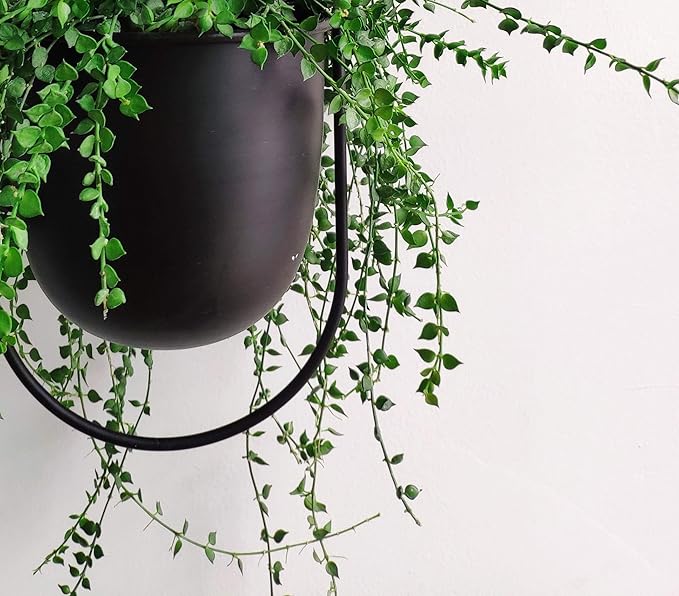 RISEON Boho Black Metal Plant Hanger,Metal Wall and Ceiling Hanging Planter, Modern Planter, Mid Century Flower Pot Plant Holder, Minimalist Planter for Indoor Outdoor Home Decor