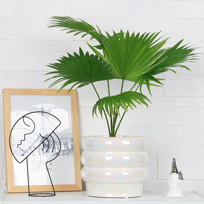 8 Inch Ceramic Plant Pots for Indoor Plants, White Flower Pot, Rainbow Pearl Glaze Planter with Planters for Plants with Drainage Hole