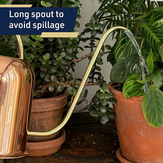 Copper Watering Can Indoor Plants - 48oz Long Spout Precise Small Water Can for Plants, Bonsai, Succulents, Houseplants, or Garden - Metal Inside or Outdoor Plant Watering Cans by Kings County Tools