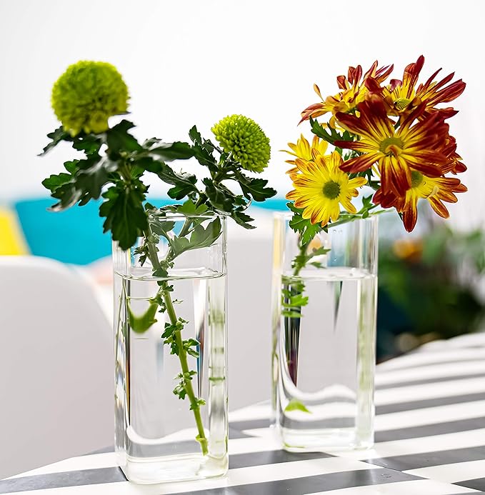 4 Pack Wall Hanging Planters Glass Terrariums - Rectangle Shape Plants Holders Flowers Glass Wall Vase Containers for Plant, Decoration and Display