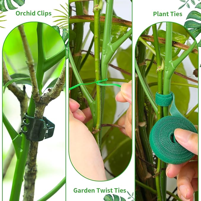ROADPLUM 2 Pack 27.56" Detachable Twig Plant Support Stakes Set, Blends in to Plant, Branch Plant Sticks with Orchid Clips Twist Plant Ties, Twig Trellis for Indoor Outdoor Plants Potted Plants Flower