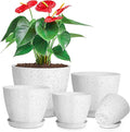 lokeisna 5 Pcs Plant pots, 7.5/6.5/5.7/4.9/4.1 inch Pots for Plants, Flower Pot Indoor Modern Decorative Plant Pot, Plant Pots Indoor with Drainage and Saucer for All House Plants, Spray Spots
