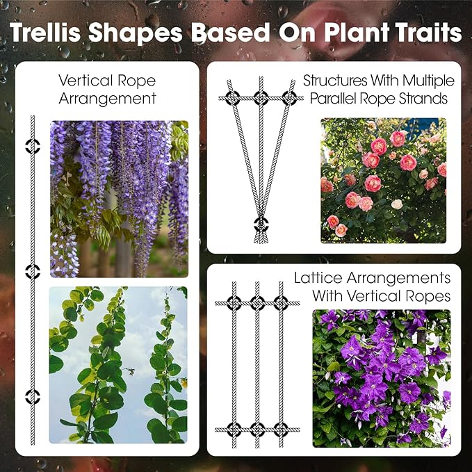 Wire Trellis Kit for Climbing Plants Outdoor - 10-Set Wall Mounted Trellis with 53Ft x 1/8" T316 Stainless Steel Rope, Heavy Duty Garden Wire Trellis System for Espalier & Vertical Gardening