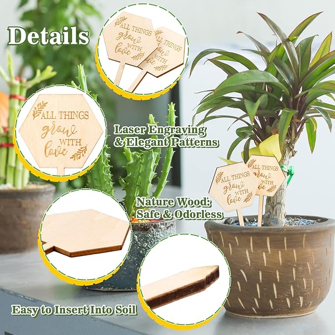 AnyDesign 30 Pcs All Things Grow with Love Labels Succulent Tags Hexagon Wooden Plant Stakes Labels Garden Marker Plant Sign for Seed Potted Teacher Appreciation Gift Thanksgiving Baby Shower