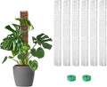 EOX 6 Pcs 24 Inch Plastic Moss Pole for Monstera, Large D Shaped Poles for Climbing Plants Work with Sphagnum Moss, 135 Inch Plant Stake Set of 6, Garden Ties