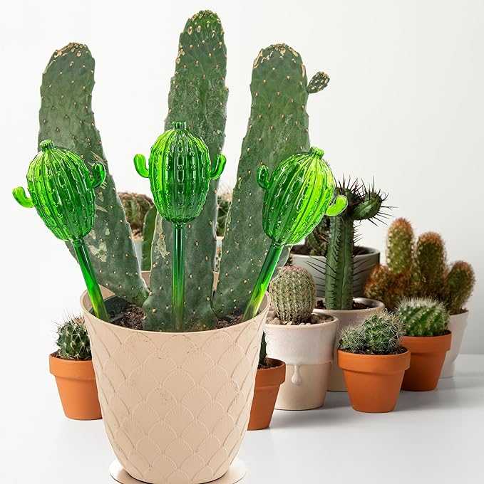 5 STAR SUPER DEALS Aqua Glass Plant Watering Globes Automatic Self Watering Plant Insert Spike Orbs - Indoor Outdoor Plant Drip Irrigation - for Flowers, Herbs, Houseplants (Cactus Globes, 4, Units)
