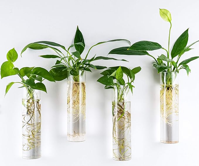 Kingbuy Wall-Mounted Plant Terrarium Propagation Station - 2 Cylinder Hanging Glass Tubes Planter for Hydroponic Plants, Indoor Wall Vases & Decorative Plant Holder Bathroom Office Living Room Decor