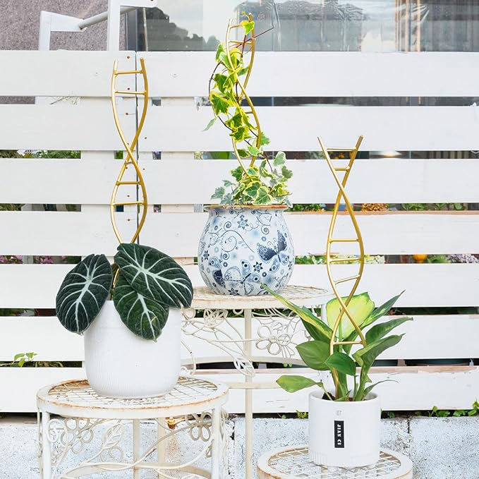 Yohsnor 3PCS DNA Plant Trellis Indoor and Outdoor - Lightweight Metal Trellis for Potted Plants, Hoya & Pothos Climbing Support, Artistic Geometric Design, Durable & Easy Installation