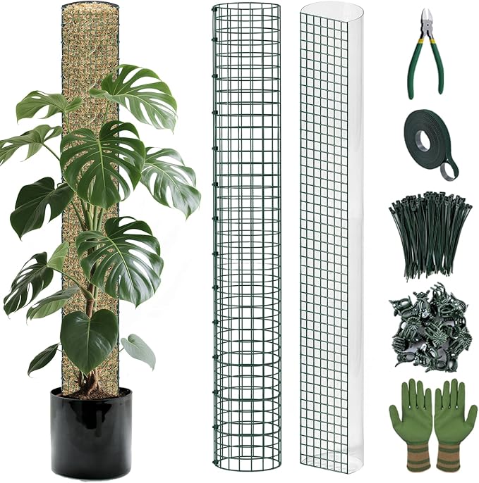 Metal Moss Poles for Climbing Plants, D-Shape Sphagnum Moss Pole Monstera Plant Support for Climbing Plants, DIY Plant Stakes Work with Sphagnum Moss (4ft D-Shaped & 6ft Round)