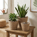 3PCS Woven Planter, Rustic Seagrass Baskets with Liners for Indoor Plants, Natural Rattan Plant Basket for Home Decor (3 Size), Set 1, Decoración del jardín
