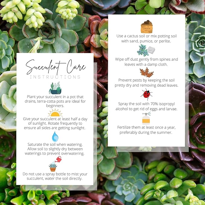 Succulent Care Instruction Cards | 50 Pack | 2x3.5” in Business Card | Succulent Care Cards | Plant Care Guide for House Sitter, Neighbor, Friend | White Card with Colored Icon