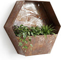 Topadorn Metal Hanging Planter Flower Pot Metal Container Wall Pocket Garden Bucket for Indoor or Outdoor Balcony Patio, Octagon 12"