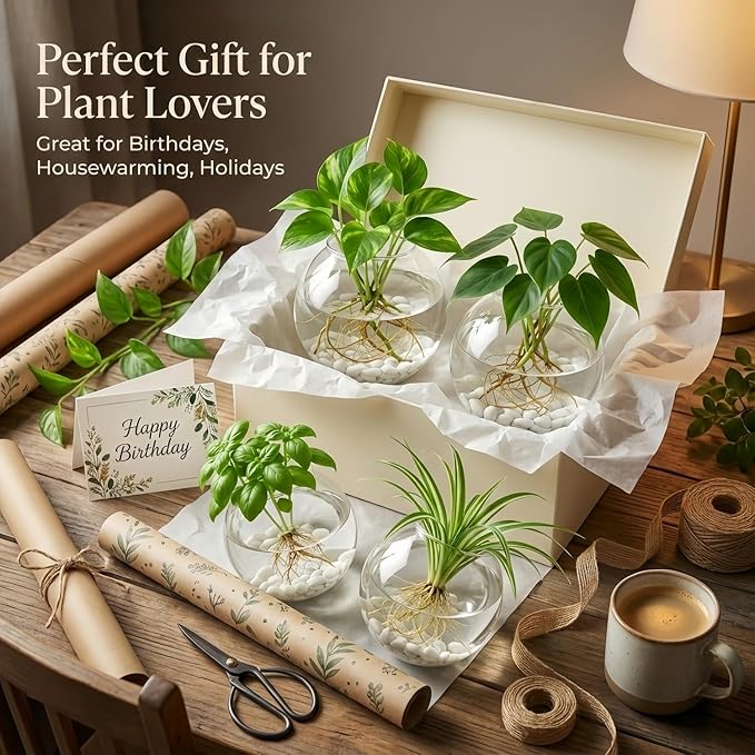 Unijoy Hanging Wall Planter Propagation Stations - Window & Wall Glass Terrarium with Decorative Stones for Indoor Plants - Plant Holder Vases for Best Boho Chic Home & Office Decor