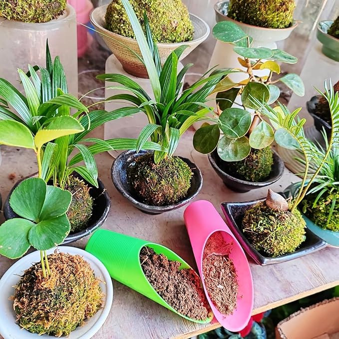 Bonsai Soil Scoop Plastic Succulent Soil Scoop Indoor Plants Little Small Potting Shovel Bucket Shovel for Garden Planting,9PCS
