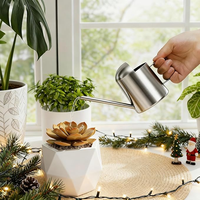 Bamworld Small Watering Can Indoor Outdoor Plant Black Metal Stainless Steel Long Spoutt Flowers Watering Cans for House Garden Plants 10OZ Watering Bottle Cute Stylish Gardening Decoration(Silver)