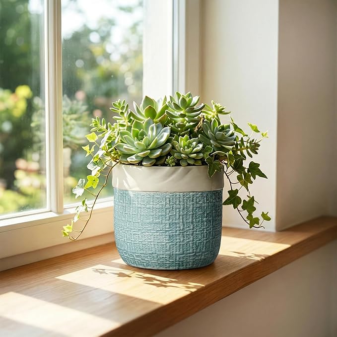 Ceramic Pots for Plants - 6 Inch Plant Pot for Indoor Succulent Plants, Round Planters with Drainage Hole, Decorative Flower Pots, Garden House Room Decor, Gardening Gifts for Women, Blue