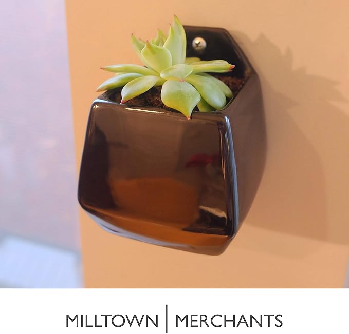 Succulent Wall Planter - Wall Vase - Black Ceramic Wall Mounted Planter - Succulent Plant Pot - Hanging Vase for Living Wall (1 Pack/Contemporary/Black)