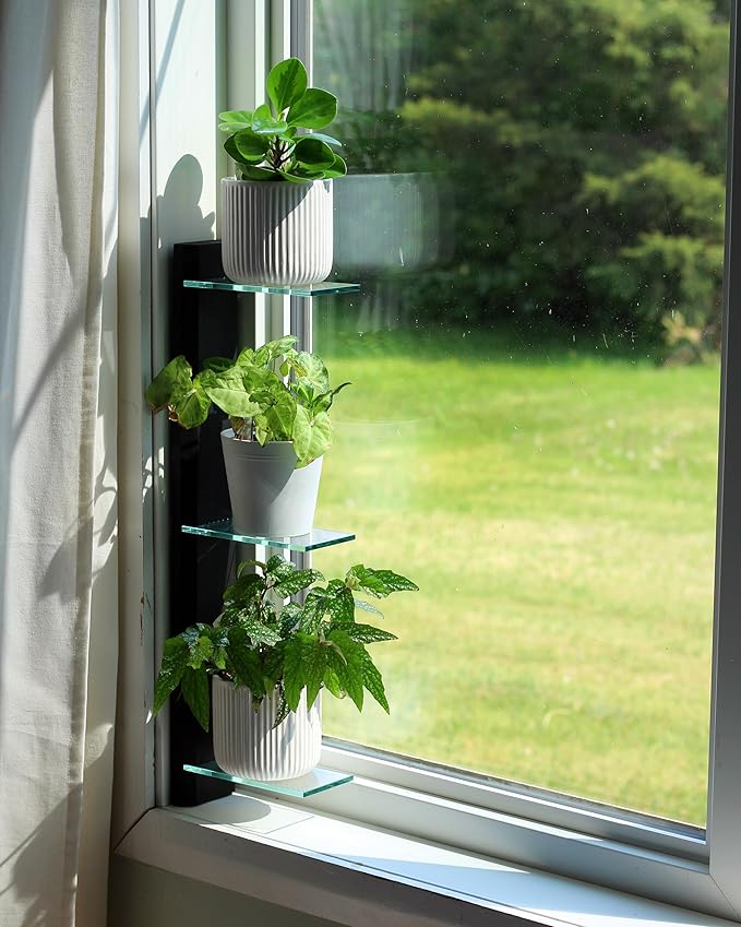 Daniel's Plants 3 Tiered Window Sill Plant Shelf (Real Wood & Glass) | Renter Friendly Window Shelves | Removable Indoor Plant Stand with Hook-and-Loop | Easy Setup | Solid Wood (Midnight Black)