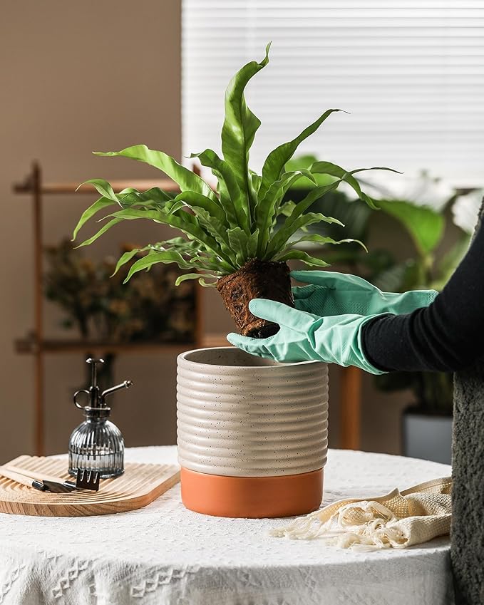 Self Watering Plant Pot : 8 Inch Ceramic Planter with Drainage Hole & Water Storage Plus - Flowerpot for Indoor & Outdoor Plants (Beige & Red-Brown)