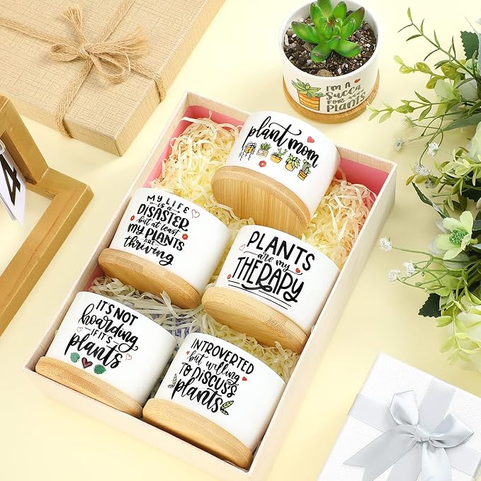 6 Pcs Funny Succulent Plant Pot Cute Christmas Teacher Gifts Box Set Plant Pot with Bamboo Tray Ceramic Funny Planter Succulent Accessories for Women Teacher Christmas Birthday Gifts (Cute Style)