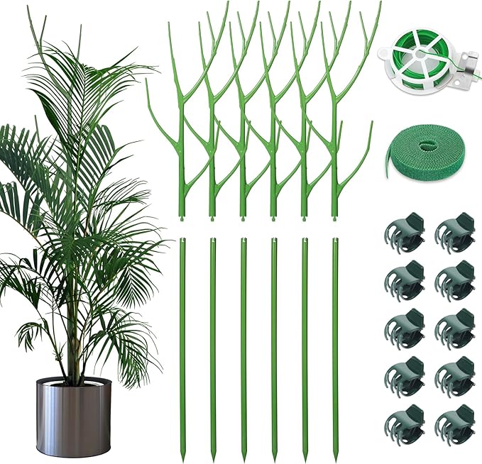 ROADPLUM 6 Pack 27.56" Detachable Twig Plant Support Stakes Set, Blends in to Plant, Branch Plant Sticks with Orchid Clips Twist Plant Ties, Twig Trellis for Indoor Outdoor Plants Potted Plants Flower