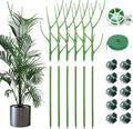 ROADPLUM 6 Pack 27.56" Detachable Twig Plant Support Stakes Set, Blends in to Plant, Branch Plant Sticks with Orchid Clips Twist Plant Ties, Twig Trellis for Indoor Outdoor Plants Potted Plants Flower