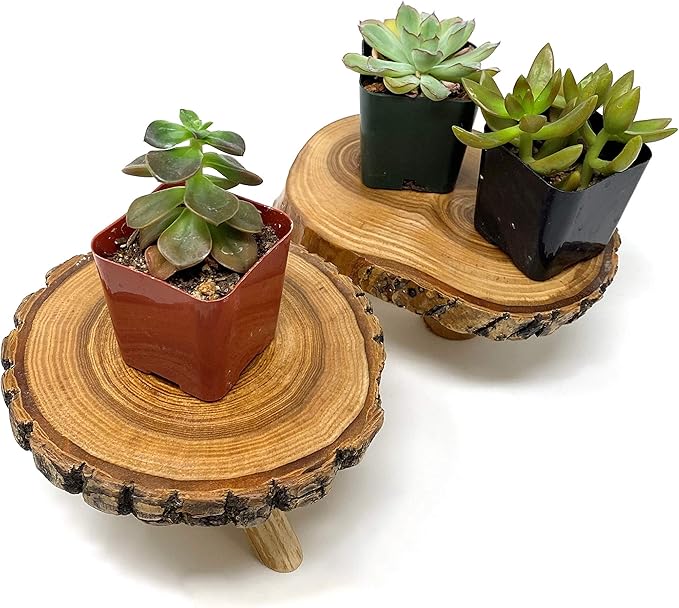 TJ Global Pack of 2 Rustic Small Tree Trunk Slices Wood Plant Stand, Mini Wooden Stool Vase Stand, Display Stand, Perfect for Home Decor in Any Room Office Garden L6 x W5 x H3 (2 Stands)