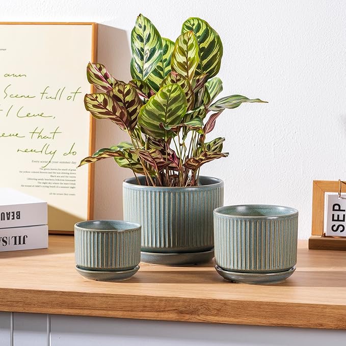 SURE YUESI Green Ceramic Plant Pots Set of 3 (4.3”+5.5”+6.7”), Indoor Striped Planters with Drainage Hole, Mesh Pads, Decorative Pots for Plants & Gardening