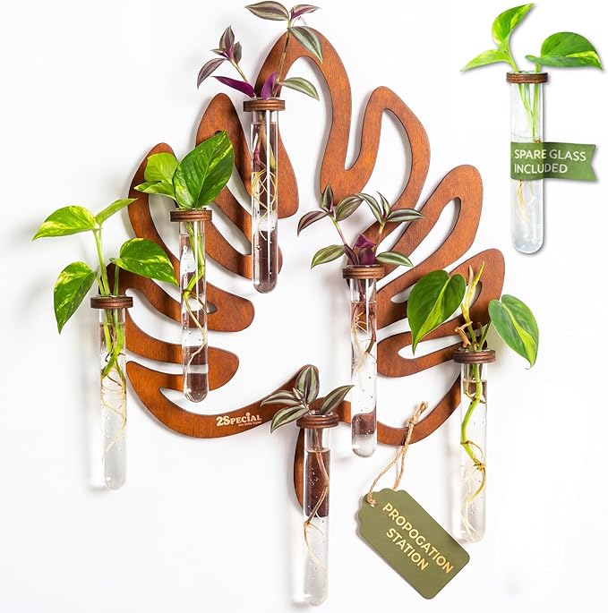 Leaf Shaped Hanging Wall Planter Terrarium for Plants with 6 Strengthened Glass Vases & 1 Spare, Wooden Plant Propagation Station for Indoor Cuttings, Hanging Propagation Stations Decor (15”)