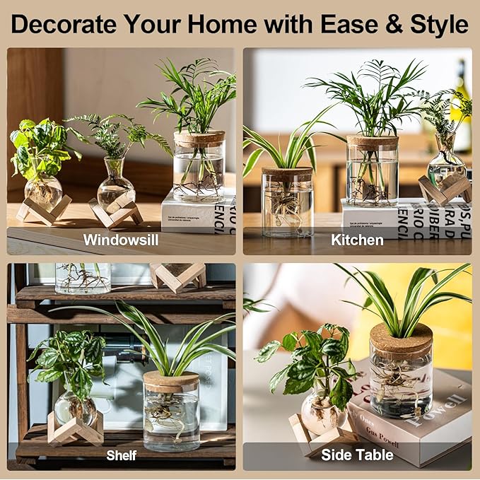 Plant Propagation Station, 2 Style Glass Planter Terrarium Set for Hydroponic Plants | Home Office Tabletop Decor, Gardening Gifts for Women, Mom, Plant Lovers (4)