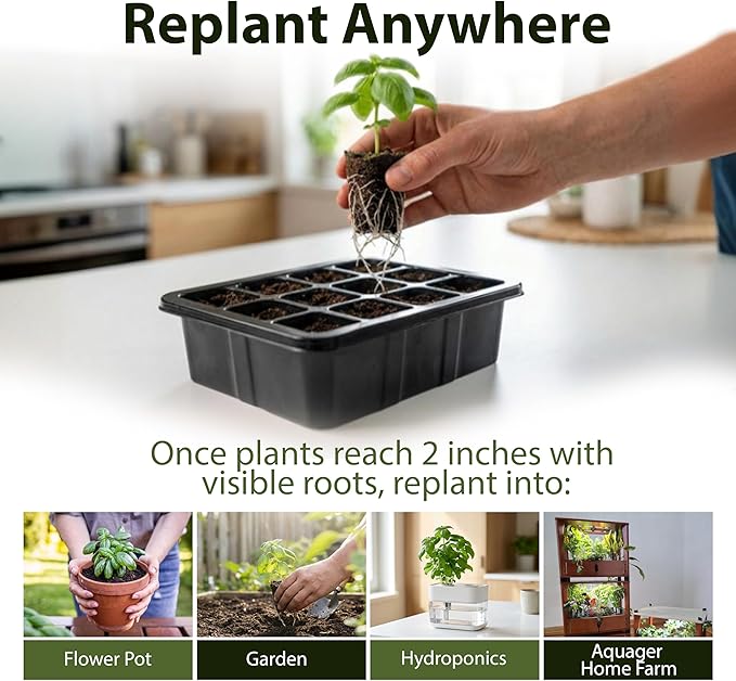 Seed Starter Kit with Humidity Dome – 12-Cell Indoor Pre-Seeded Seed Starting Tray with Marigolds & Microgreens – Complete Growing Kit with Seeds Included
