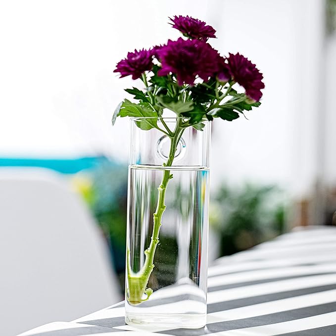 4 Pack Wall Hanging Planters Glass Terrariums - Rectangle Shape Plants Holders Flowers Glass Wall Vase Containers for Plant, Decoration and Display