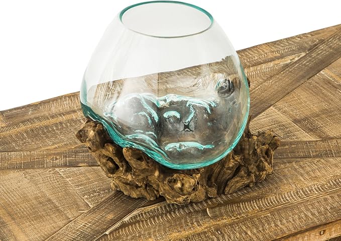 Cape Craftsmen 10" Hand-Blown Blue Tinted Bubble Glass On Natural Teak Driftwood Terrarium Kit | Home Décor Indoor Planter with Stand | Pot for Succulent and Plants