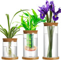 Maxcheck 3 Pcs 3 Sizes Plant Propagation Station Separated Glass Plant Terrarium Water Hydroponic Planter Holder with Lid and Wooden Stand Propagation Vase Pot for Home Indoor Office(Various Sizes)