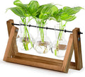 Glass Propagation Station with Wooden Stand – 3 Bulb Vase Plant Terrarium for Home & Office | Ideal Christmas, New Year & Birthday Gift for Plant Lovers, Moms | Hydroponic Desktop Planter Set