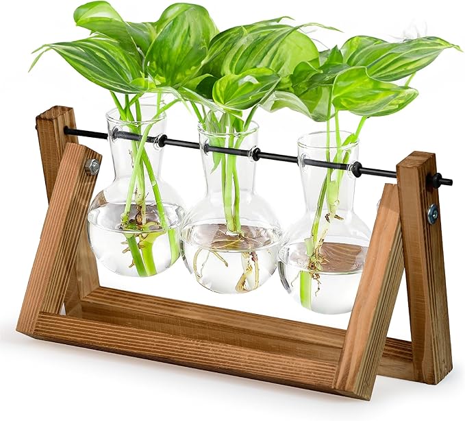 Glass Propagation Station with Wooden Stand – 3 Bulb Vase Plant Terrarium for Home & Office | Ideal Christmas, New Year & Birthday Gift for Plant Lovers, Moms | Hydroponic Desktop Planter Set