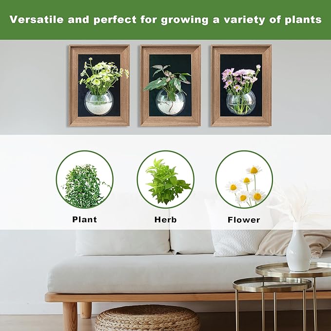 Walnut Wood Frame Wall Planter for Hydroponic Plants, 12" x 16" Wall Vase with Oblate Acrylic Propagation Station, Set of 3, Decorative Wall Hanging for Bathroom, Office & Living Room