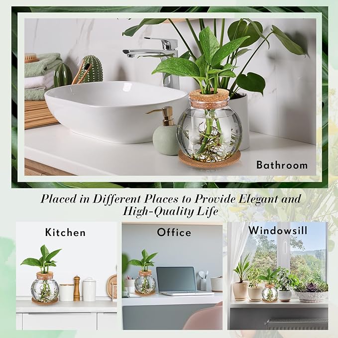 Baderke 2 Packs Propagation Vases for Plants Plastic Plant Propagation Station with Hole Lid and Cork Coasters Plant Growing in Water Hydroponic Home Office Table Decoration(Fish Bowl Style)