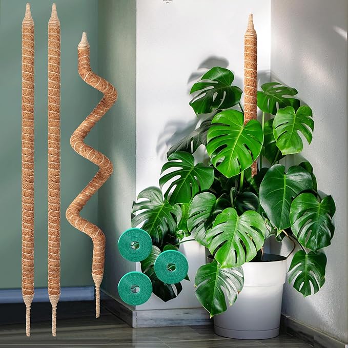 3-Pack 48in Moss Poles for Monstera, Plant Supports for Indoor Plants, Pothos Vines, Philodendron, Fishbone Cactus & Indoor Tropical Houseplants, Made for Coco Coir