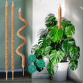 3-Pack 48in Moss Poles for Monstera, Plant Supports for Indoor Plants, Pothos Vines, Philodendron, Fishbone Cactus & Indoor Tropical Houseplants, Made for Coco Coir