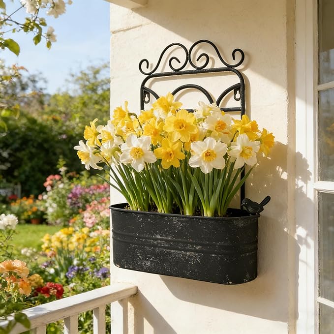 Rustic Metal Wall Planter Vintage Wall Mounted Flower Pot Distressed Wall Hanging Plant Basket Farmhouse Wall Decor for Indoor Outdoor Garden Home Yard (Black)