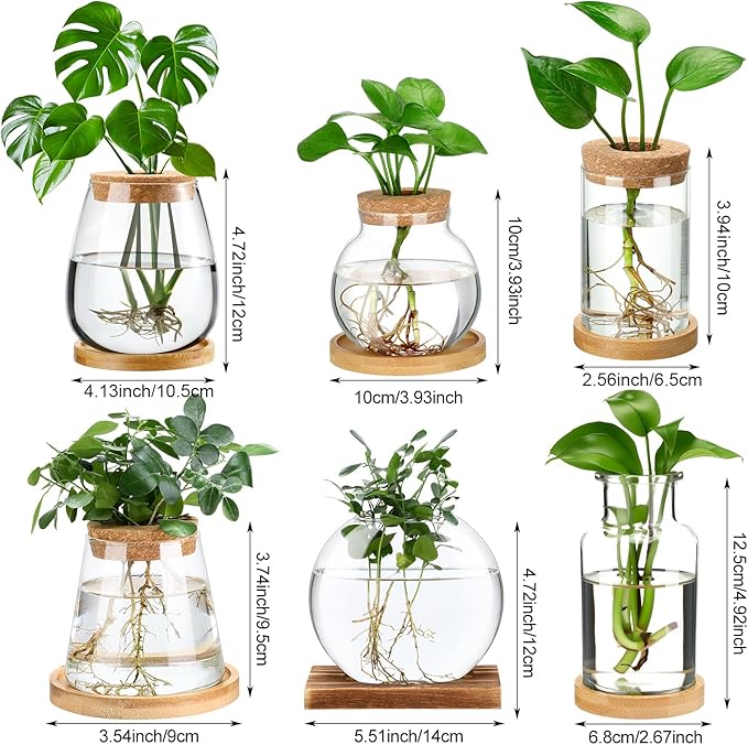 Honeydak 6 Pcs Plants Propagation Stations Planter Terrariums with Wooden Lid and Bamboo Stand Desktop Glass Propagation Vases for Plant Growing Hydroponic Home Office Tabletop Decoration